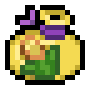 Corn Seed