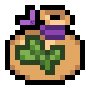 Oregano Seed