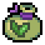 Tea Seed