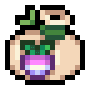 Turnip Seed