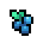 Blueberry