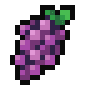 Wild Grapes