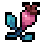 Rose Hip