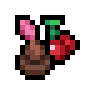 Cherry Sapling