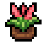 Faux Celosia