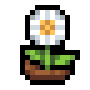 Faux Daisy