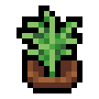 Faux Dill