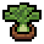 Faux Fennel