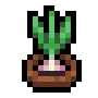 Faux Garlic