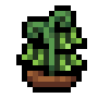 Faux Peas