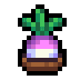 Faux Turnip