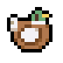 Duck Plushie