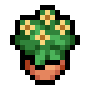 Potted Plant