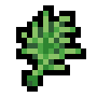Dill