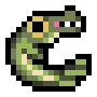 Alligator Gar