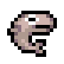 Mini-Whale Shark