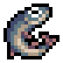 Muskie
