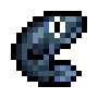 Freshwater Eel