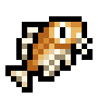 Koi