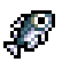 Mullet
