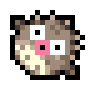 Puffer Fish