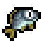 Sea Bream
