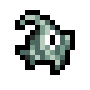 Angel Fish