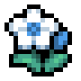 Fog Orchid