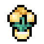 Spring Lamp
