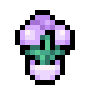 Spring Lamp