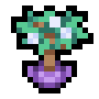 Spring Potted Tree