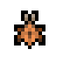 Cooktop Beetle