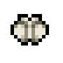 Fuzzy Moth