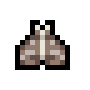 Lantern Moth