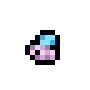 Polar Fly