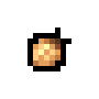 Sand Bug