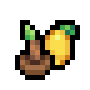 Lemon Sapling