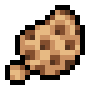 Morel Mushroom