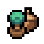 Oak Sapling