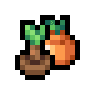 Orange Sapling
