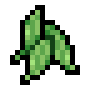 Sage