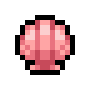 Pink Scallop Shell