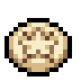 Sand Dollar