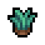 Grass Starter