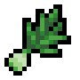 Wild Leek