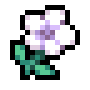 Temple Flower