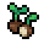 Water Chestnut