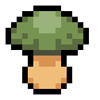 Cave Mushroom
